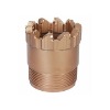 Core PDC bit