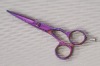 Japanese scissors A-55P